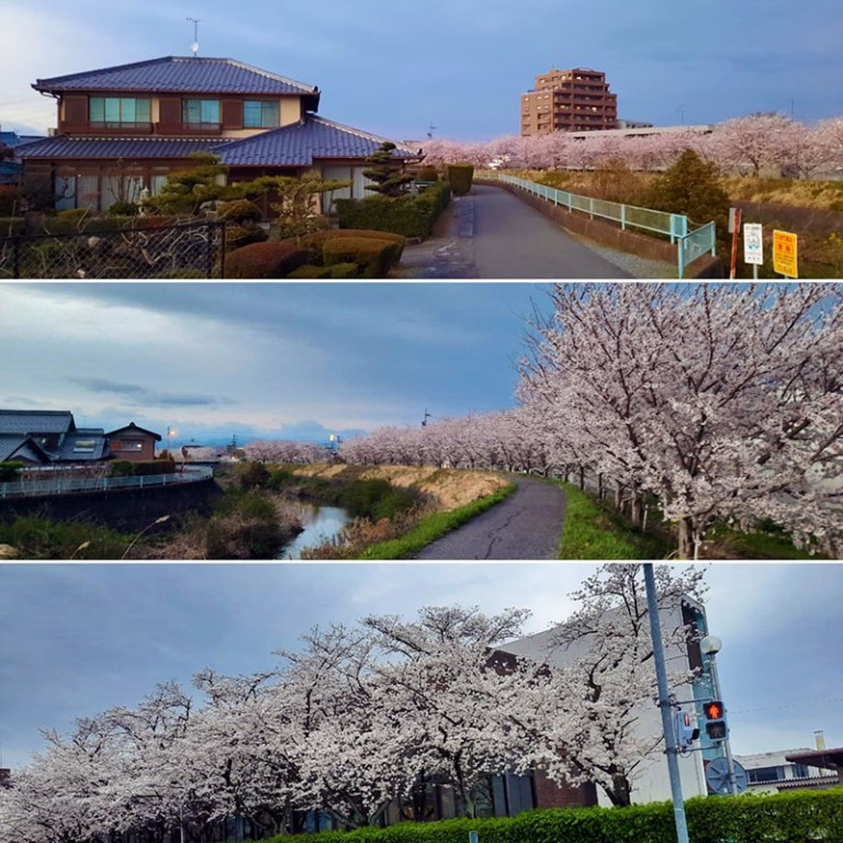 Ostasieninstitut Der Hochschule Für Wirtschaft Und Gesellschaft Ludwigshafen Ostasieninstitut – Das Ostasieninstitut der Hochschule für Wirtschaft