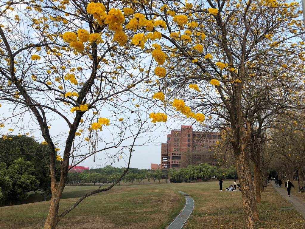 Das Hauptgebäude der National Chung Cheng Universität